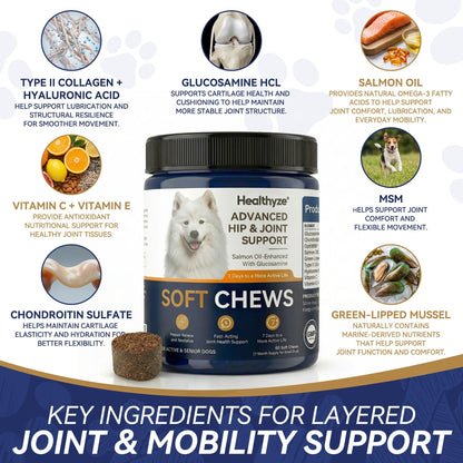 Advanced Hip & Joint Support Soft Chews-TK 2
