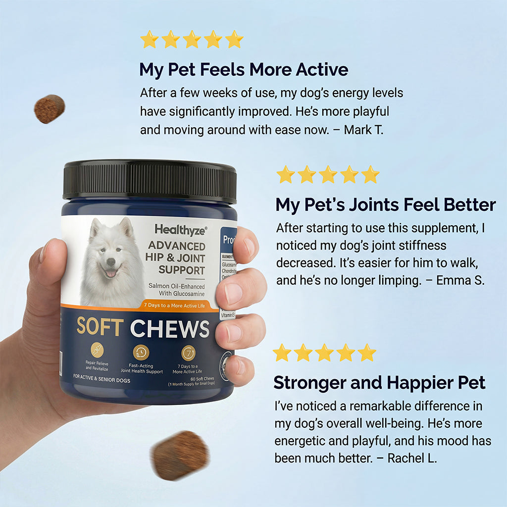 Advanced Hip & Joint Care Chews – dog joint supplement for mobility