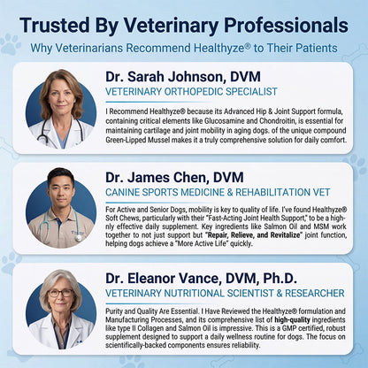 Advanced Hip & Joint Care Chews – dog joint supplement for mobility