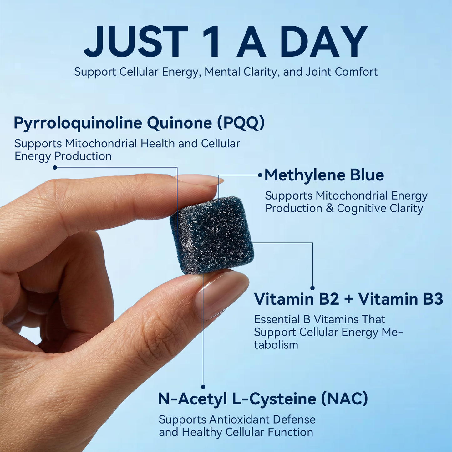 Blue Gummies - Move Easier. Feel Lighter. Live Freer.