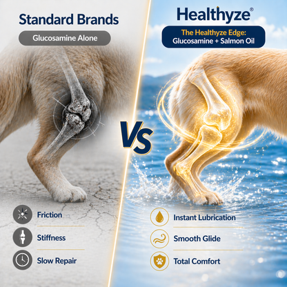 Advanced Hip & Joint Care Chews – dog joint supplement for mobility