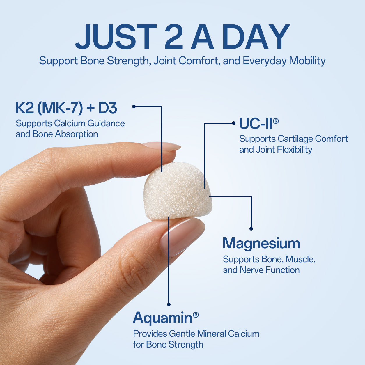 Bone & Joint Navigator Gummies